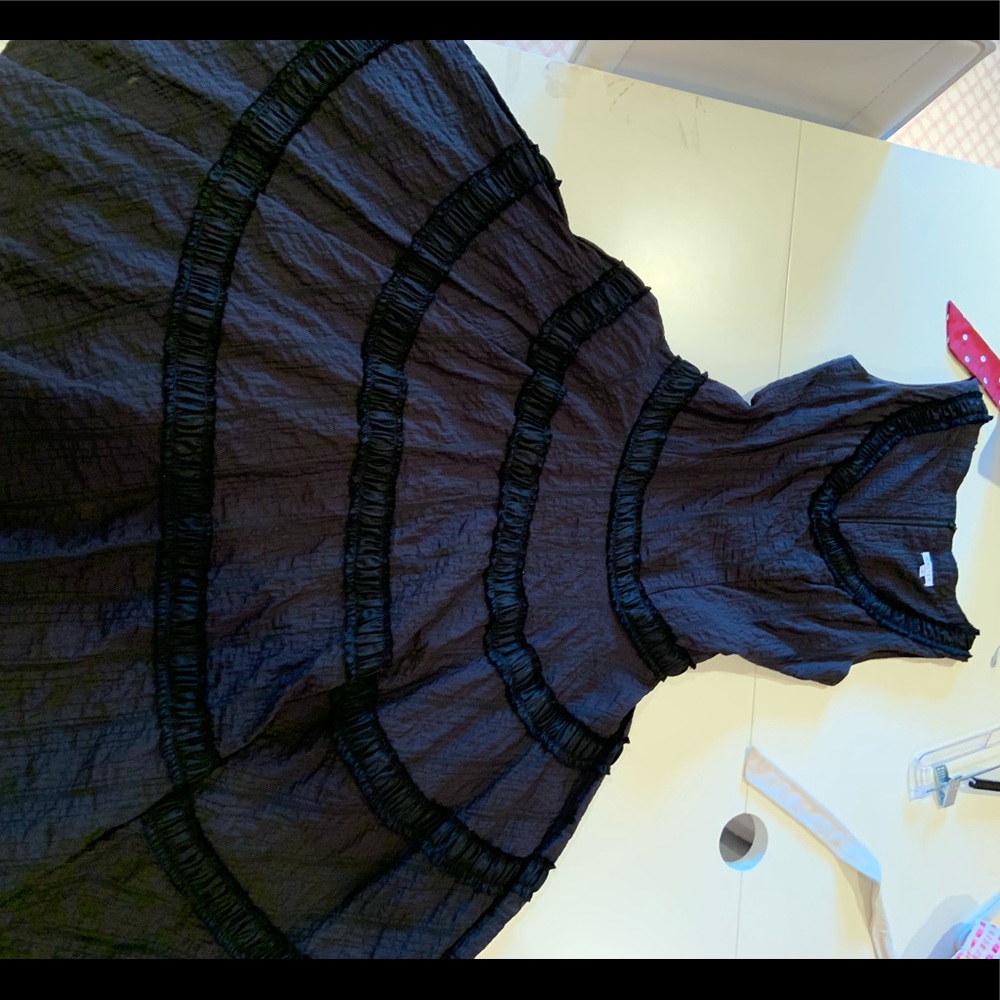 Walter women’s black striped dress